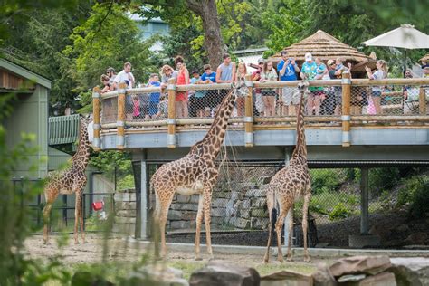  ガーフィールド・パーク動物園！クリーブランドの緑豊かなオアシスで動物たちと触れ合おう