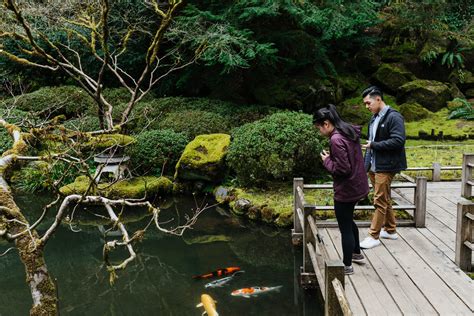  ポートランド日本庭園、緑のオアシスと静寂の世界へようこそ！